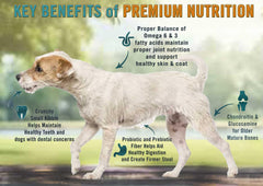 Chicken Soup for the Soul Small Bites: sin subproductos, opción natural para perros adultos