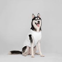 Chol&Vivi camiseta de algodón para perro en gris, diseño cómodo.