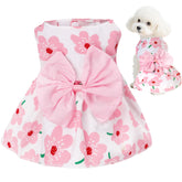 Vestido floral de choyaxo para perro, perfecto para paseos veraniegos.