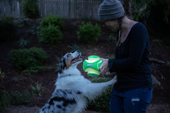 ChuckIt! Kick Fetch flotante, perfecto para juegos en agua con tu perro.