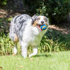 Chuckit! Ultra Ball Mediana flotando en agua, perfecto para juegos acuáticos.