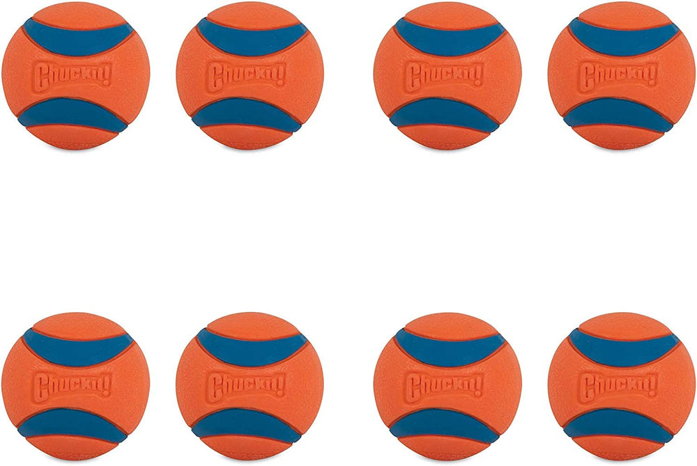 Chuckit! Pelota Ultra medio para rebote alto durante el juego de buscar.