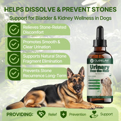 Clidelan ingredientes herbales para el tracto urinario de perros, apoyo natural.