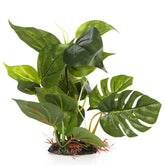 CNZ planta para acuario con hojas verdes decorativas que crea refugio natural.