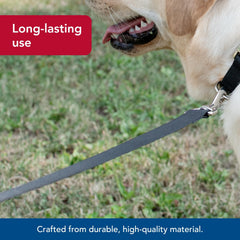 Correa de nylon Coastal de un solo hilo, resistente a tirones