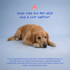 Coco y Luna Omega3 para perros, ayuda contra alergias estacionales.