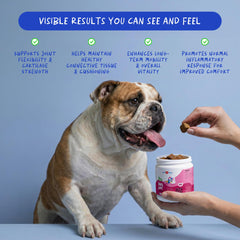 Coco y Luna: etiqueta del frasco con fórmula antiinflamatoria suave para perros.