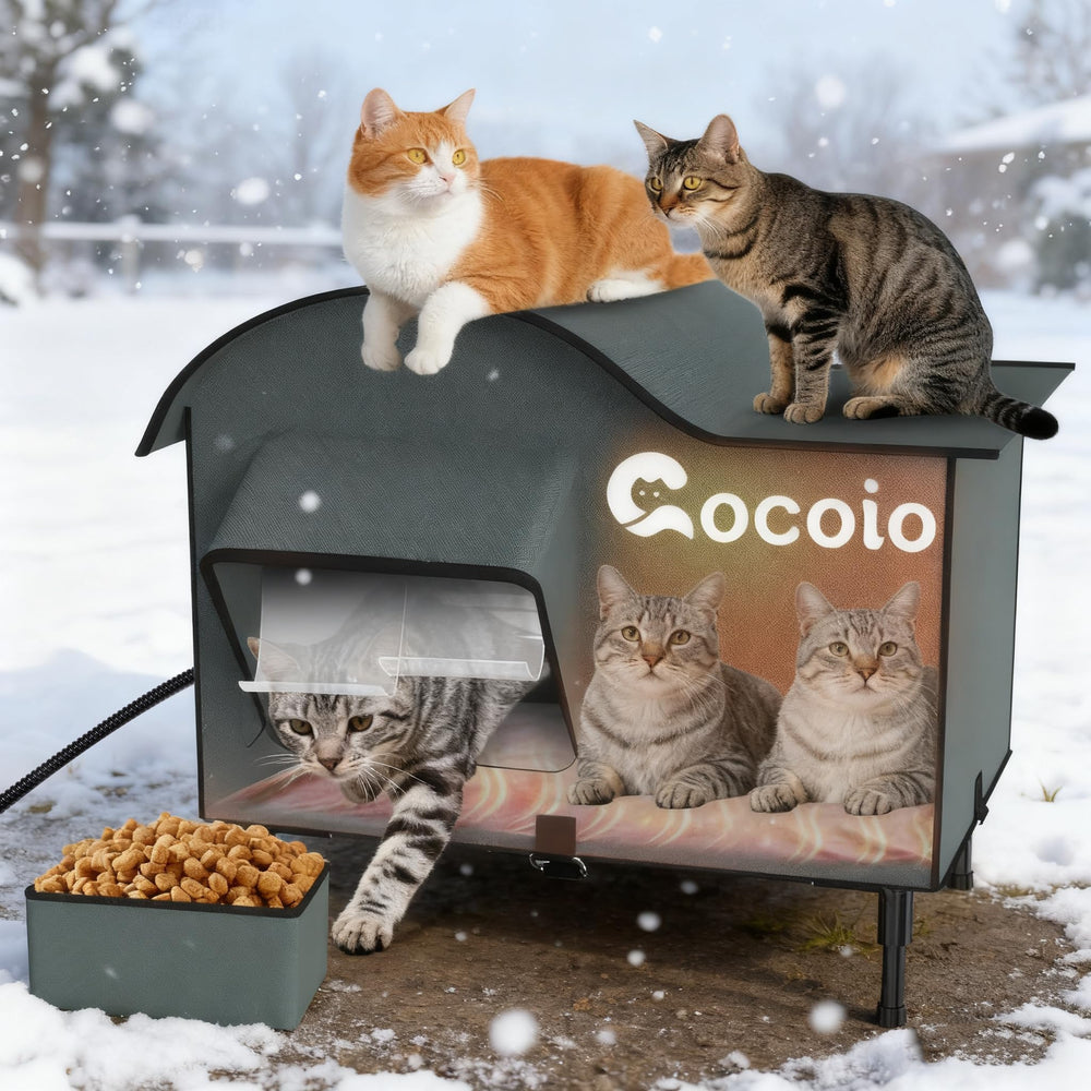 Cocoio casa-gatos exterior calefaccionada, vista frontal, refugio cálido para felinos
