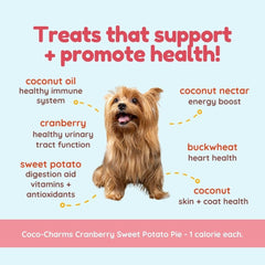 CocoTherapy: sabor arándano y camote orgánicos para perros