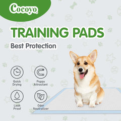 COCOYO tapete orina para perros con borde impermeable protege suelos.