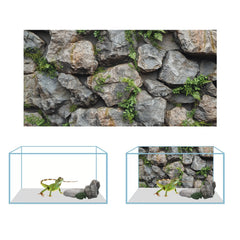 COMSUN fondo para terrario con cactus desérticos, aporta ambiente temático.
