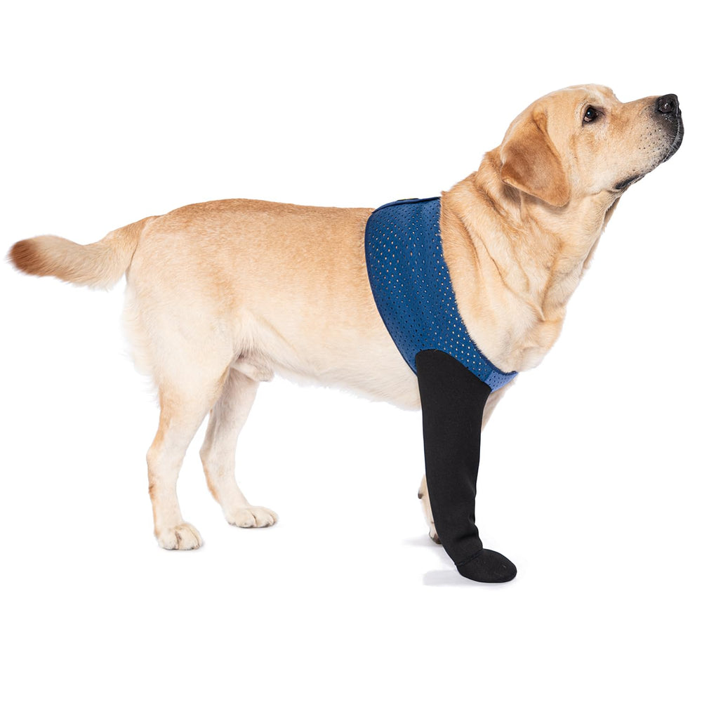 COODEO calcetines para perros evitan lamidas y protegen las patas