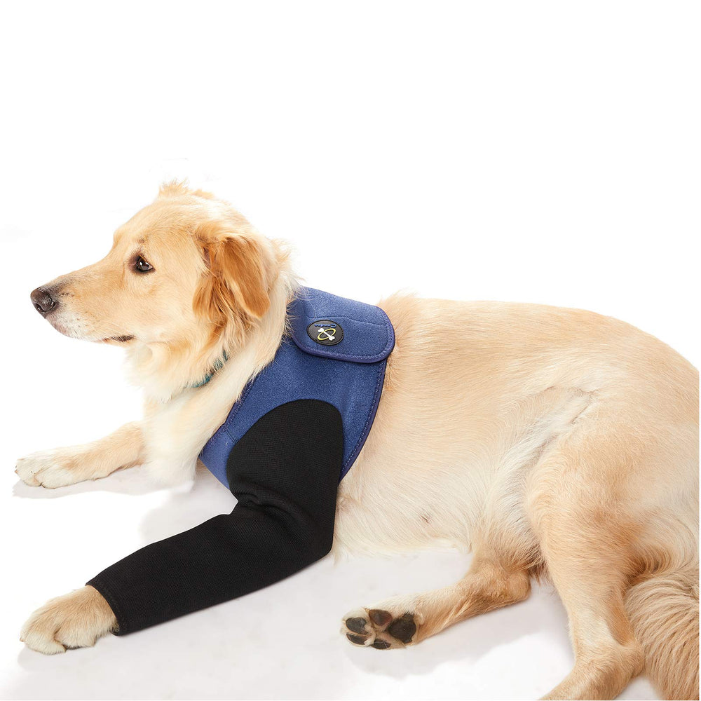 Coodeo manga de recuperación para perro azul, vista frontal, protege la herida durante paseos.