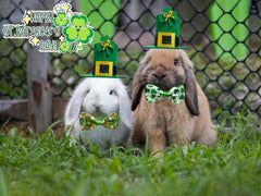 CooShou lazo San Patricio para conejo con campana, uso cómodo y festivo.