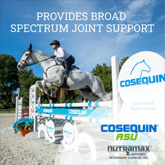 Cosequin ASU polvo: textura suave lista para mezclar con alimento del caballo.