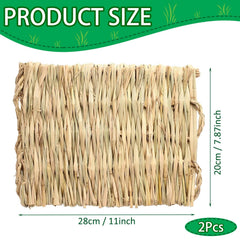 COTELEEC alfombra de hierba natural para hamster, agradable al tacto y fácil de limpiar.