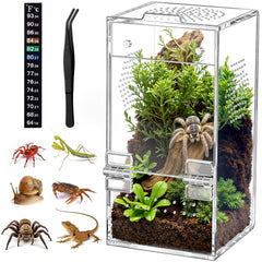 CourtyardAid jaula saltadora 3.5×3.5×7: espacio cómodo para el arácnido
