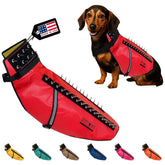 Arnés CoyoteVest protege al perro rojo grande durante paseos.