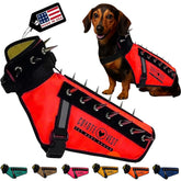 CoyoteVest púas removibles para defensa durante paseo con perro.