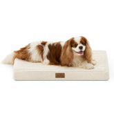 Cama COZY KISS para perro, rectangular y ortopédica, acolchado cómodo para uso diario.