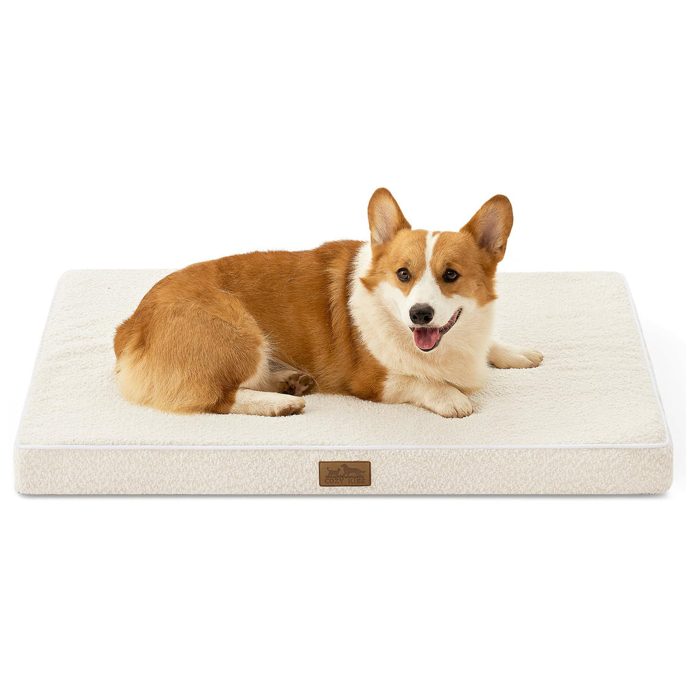 COZY KISS: cama rectangular para perros grandes con soporte estable y cómodo