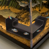 CPLIKE túnel subterráneo para acuario, mejora la exploración de peces y camarones.