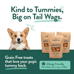 CRAFTED BY HUMANS galletas con harina de garbanzo, snack saludable para perros