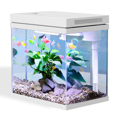 Craftsboys nano-tanque 2.5 galones, vista clara para observar peces y plantas.