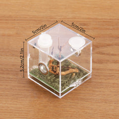 Crapelles caja acrilica insectos miniatura para visualizacion clara y manejo seguro