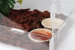 CRITTZOO uso seguro en terrario para comida o agua del gecko crestado