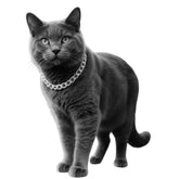 CWYZA collar para gato plata cubano ajustable, vista frontal para estilo diario
