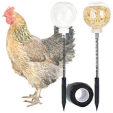 CYG&CL juguete de picoteo con dispensador bola: estímulo para el picoteo de gallinas y entretenimiento.