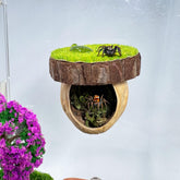 Daerky refugio magnético para araña, seguro y estable.