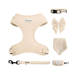 Arnés pequeño Daizzy Gear, ajuste cómodo y seguro para paseos con perro.