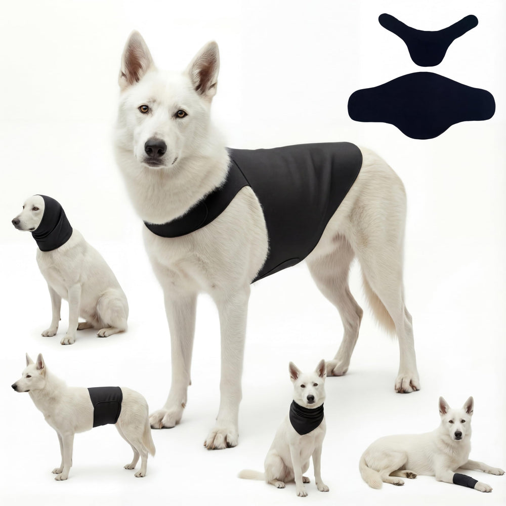 DAJIDALI chaleco-ansiedad-perro-gato reduce estrés y facilita la calma en casa