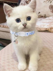 DALOO collar con cierre desenganche seguridad ajustable para gatitos.