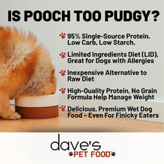 Dave's Pet Food: lata sin granos, opción adecuada para perros con sensibilidad.