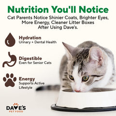 Dave's Pet Food pack de 12 latas para alimentación práctica.