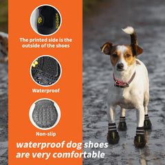 DcOaGt Zapatos para perro verano: comodidad en caminatas al aire libre.