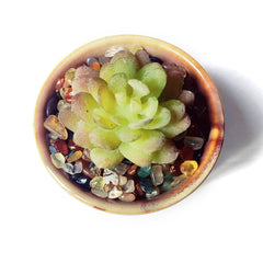 DEEDOCHY agata-piedras suculentas-maceta: equilibra el agua y embellece la planta.
