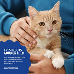 Dental Fresh Gato: aliento más fresco al beber gracias a Bacti-Blast.