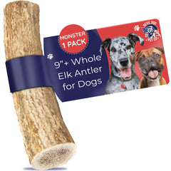 Asta de alce Monstruo de Devil Dog Pet Co, muestra masticación duradera para razas XL.