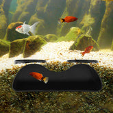 DiQiRenQin Cueva de acuario con dos hue cos ofrece refugio y observación cercana.