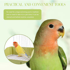 Cuenco-bano-pajaro-espacioso de DINTSTYLE, ideal para varias aves.
