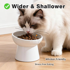 Cuenco elevado cerámico para gatos, diseño ergonómico para cuello cómodo.