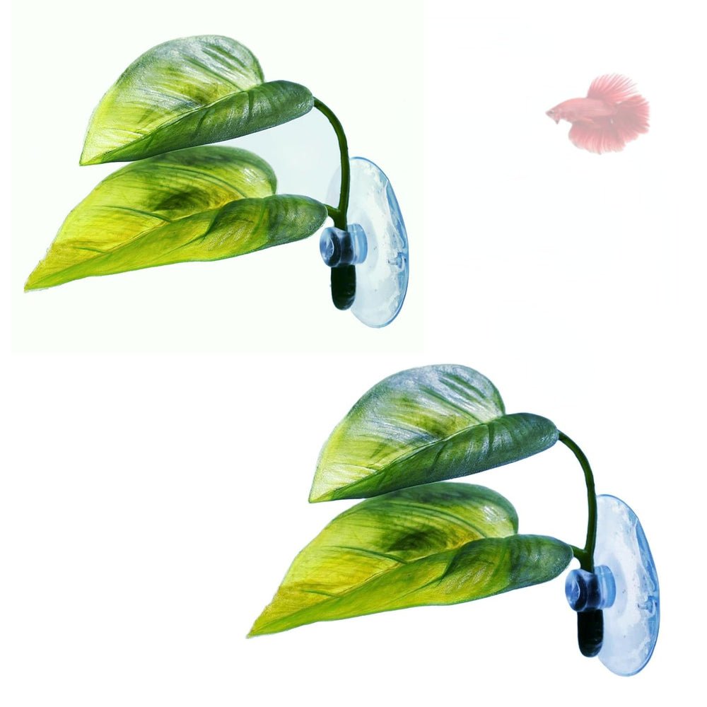DODOAQUA hoja Betta cama suave para descanso natural.