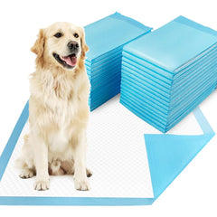Dogcator almohadillas absorbentes XL 30x36 para entrenamiento y protección del suelo.