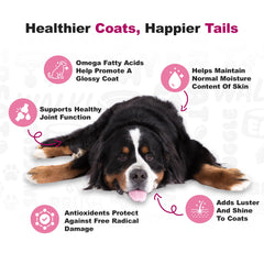 Doggie Dailies omega-3 y krill para articulaciones y piel