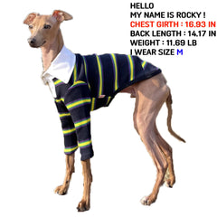 Doggystar camiseta galgo dorso con cuello navy, ajuste cómodo.