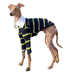 Doggystar camiseta galgo frente cuello navy, ideal para paseos diarios.